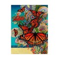 Trademark Fine Art David Galchutt 'Monarch Madness' Canvas Art, 24x32 ALI47001-C2432GG
